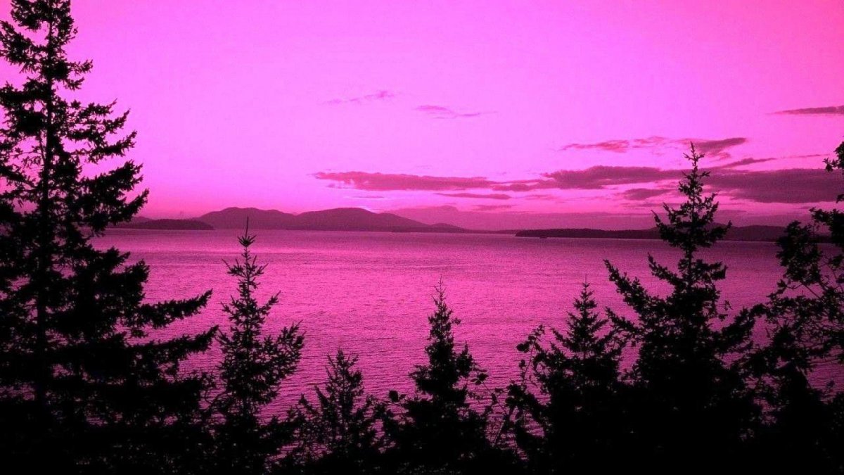 Пурпле ваве