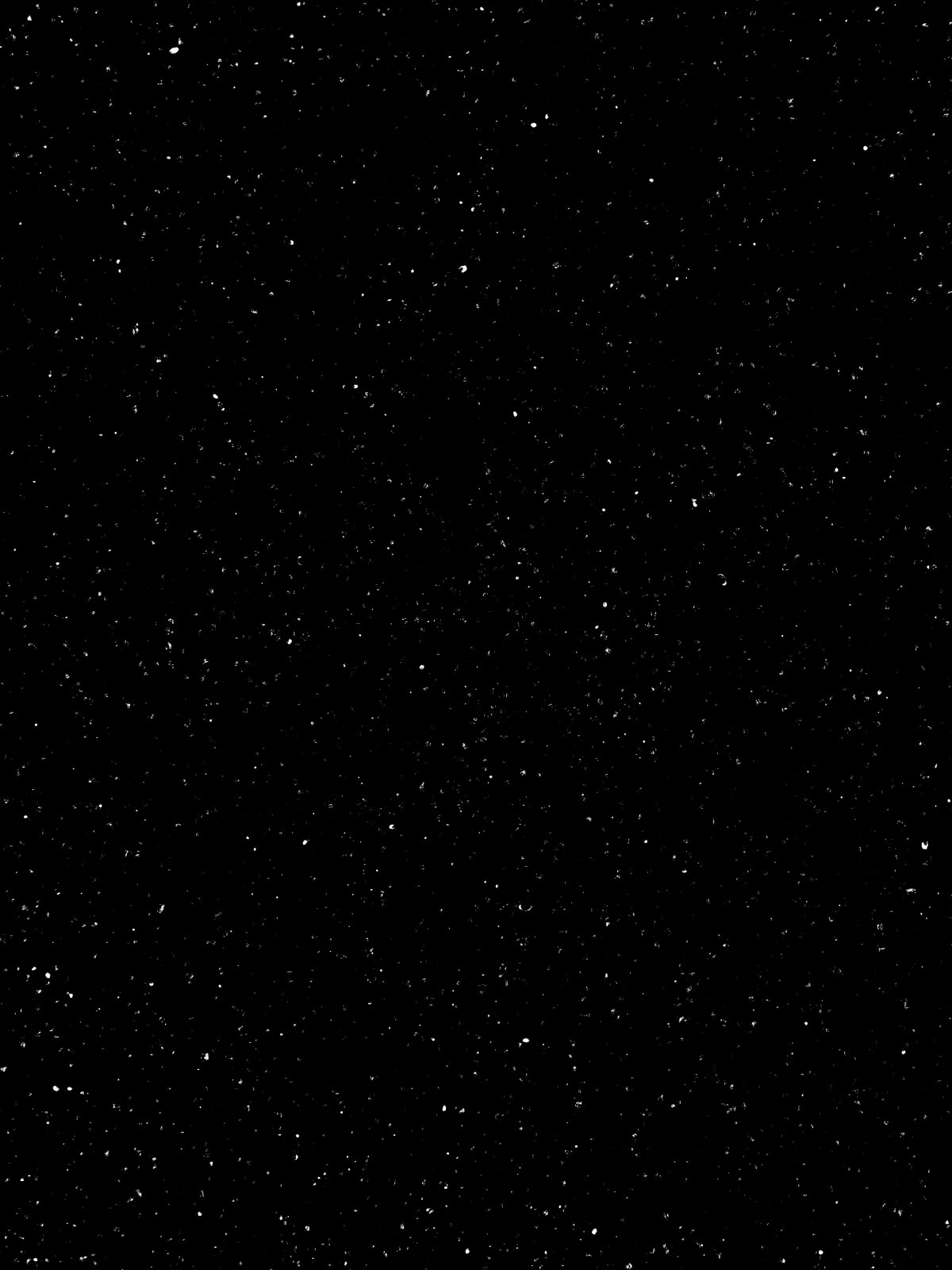 Роза на черном фоне