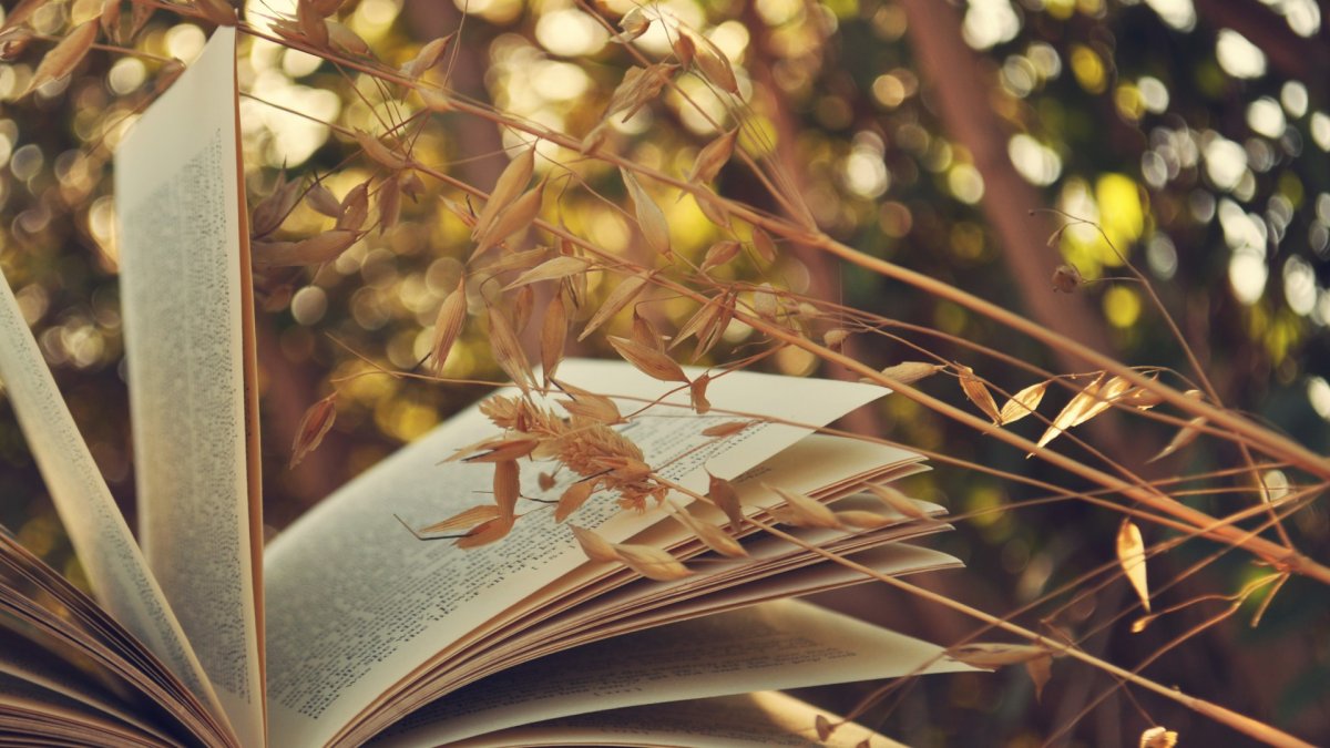 Красивые книги