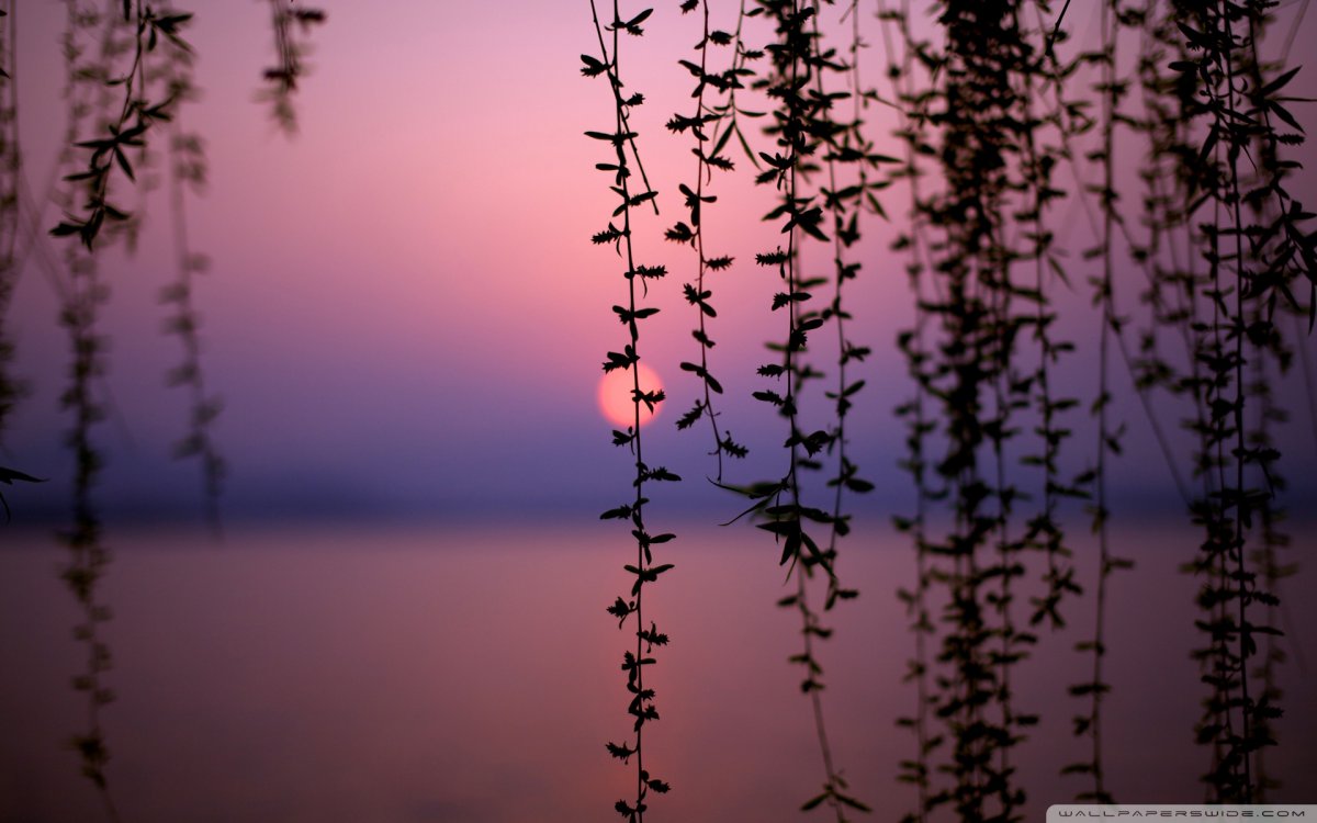 Эстетика природы