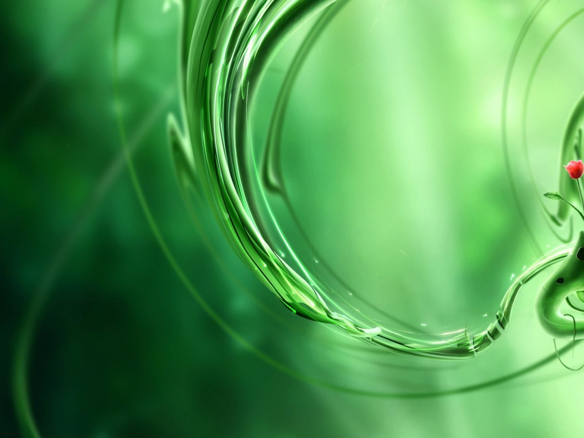 Зеленые обои