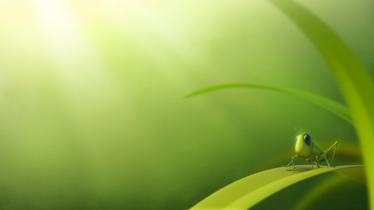 Зеленый фон для рабочего стола