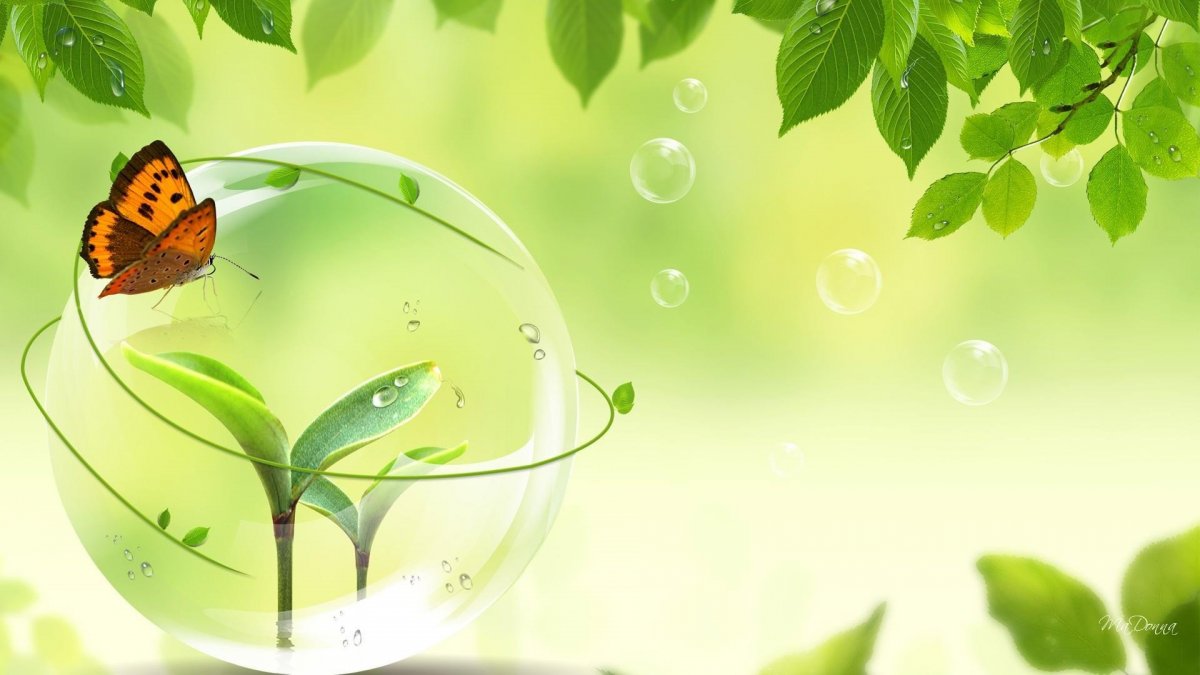 Экологический фон