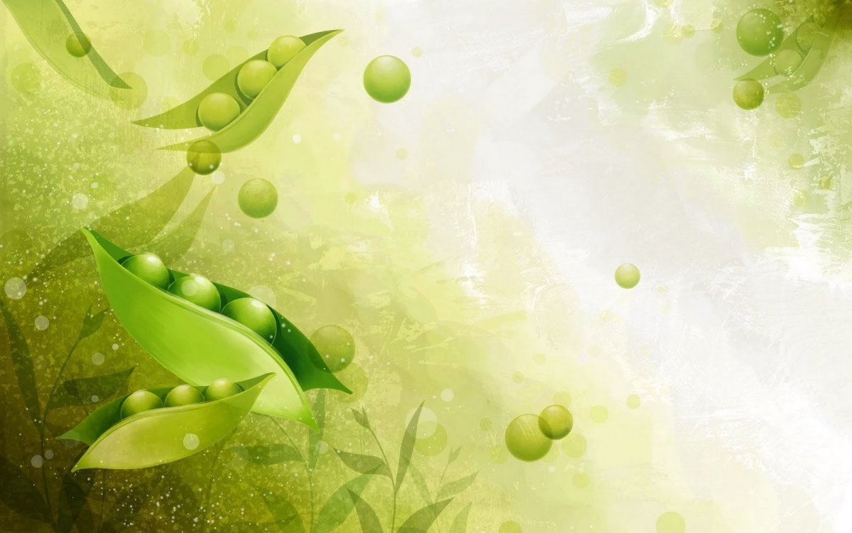 Салатовый фон для проекта