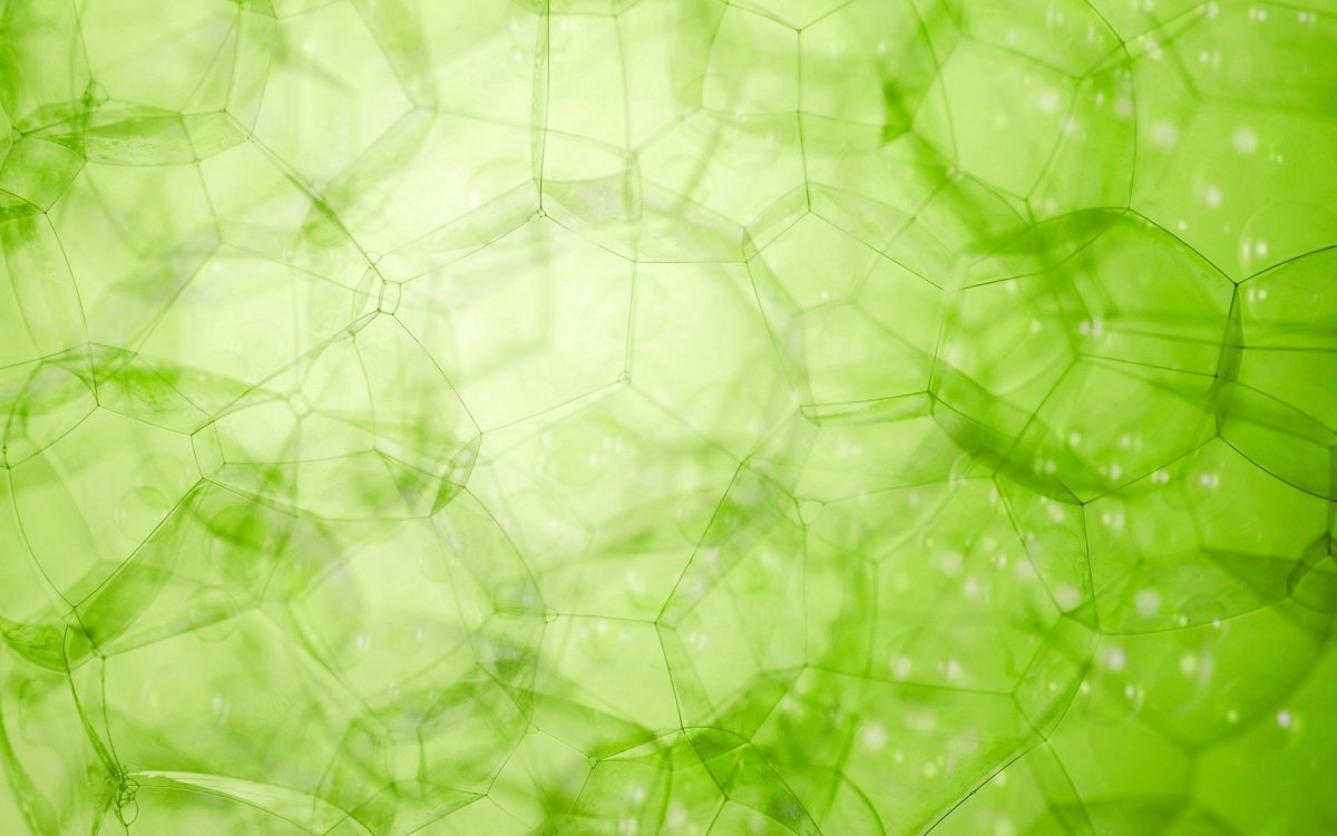 Зеленый фон для сайта