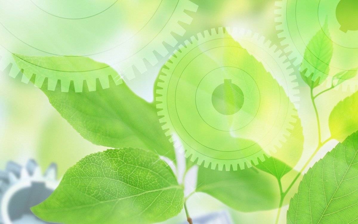 Экология фон