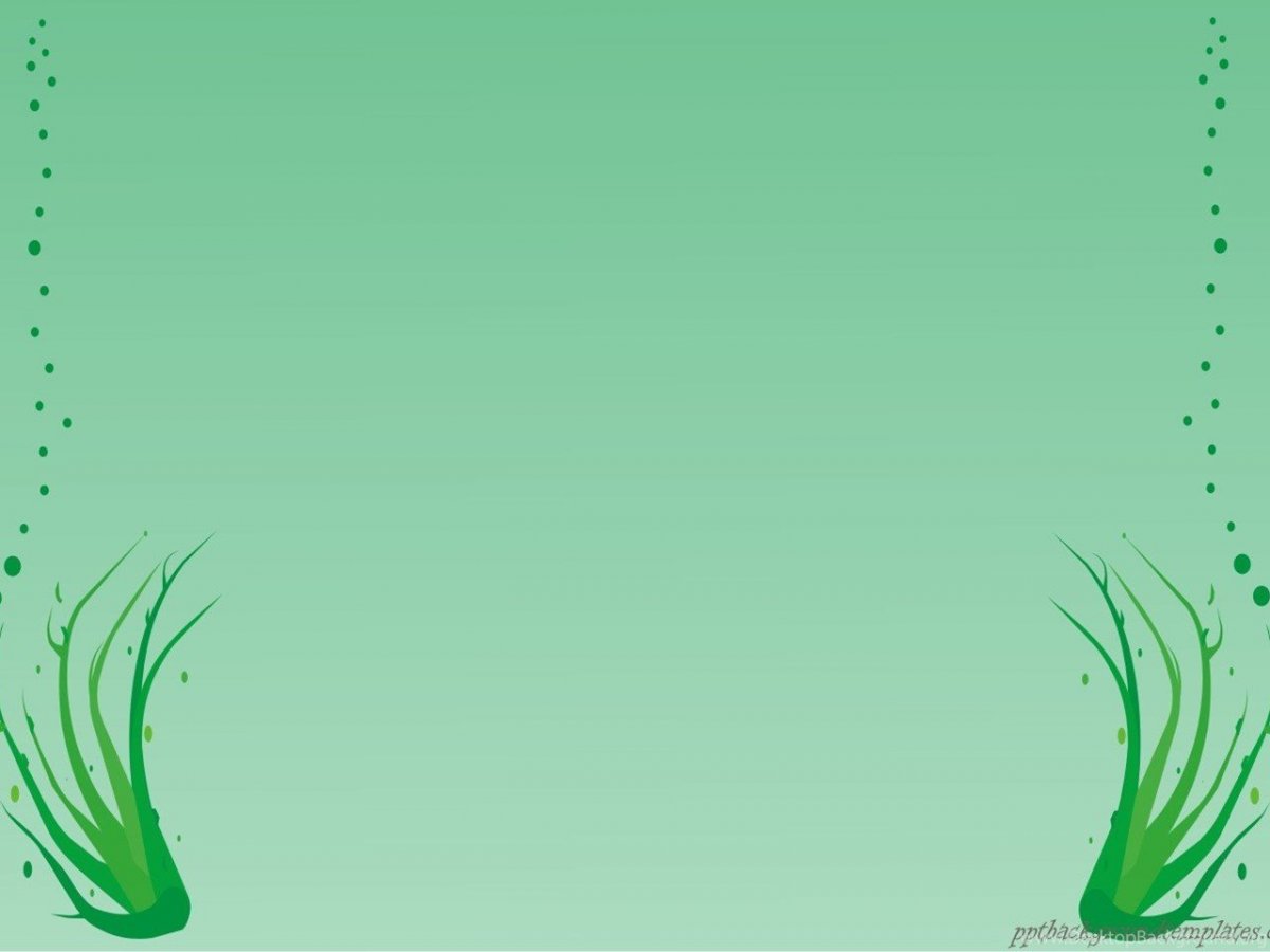 Слайды для презентации красивые по биологии