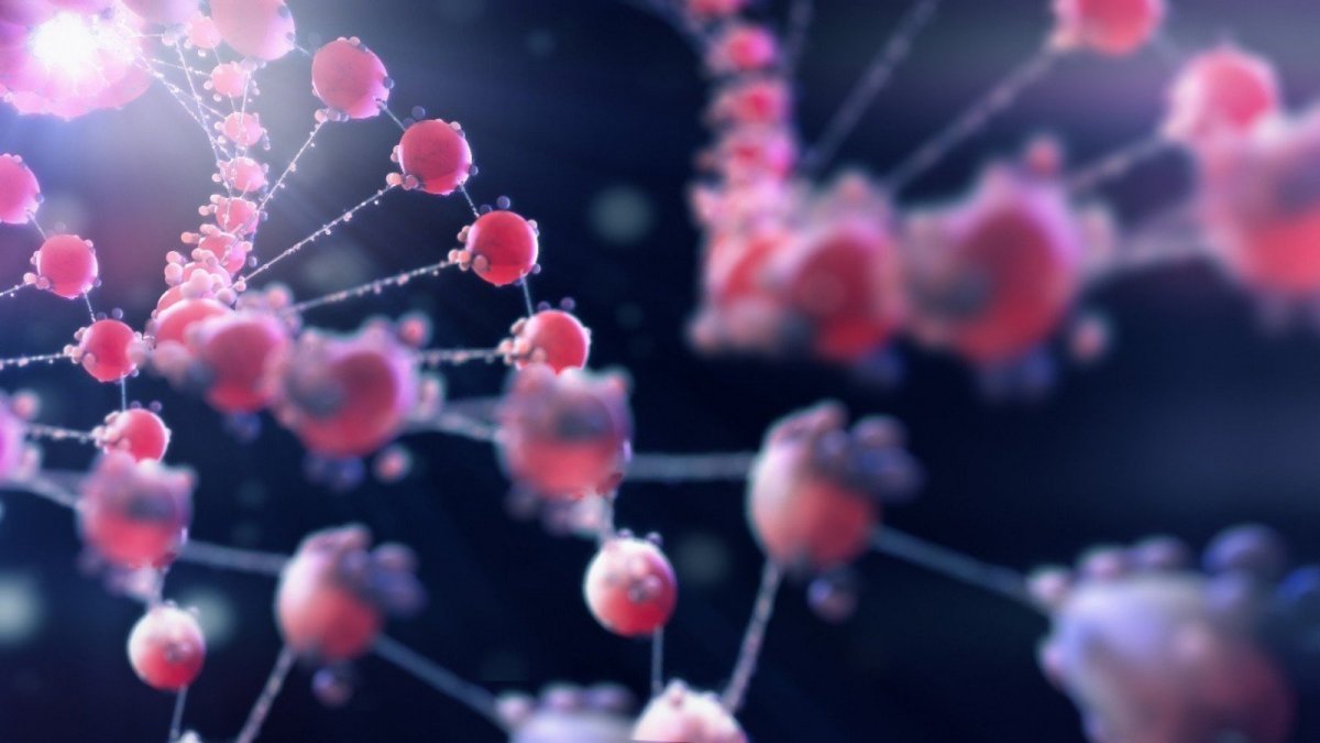 ДНК микробиология