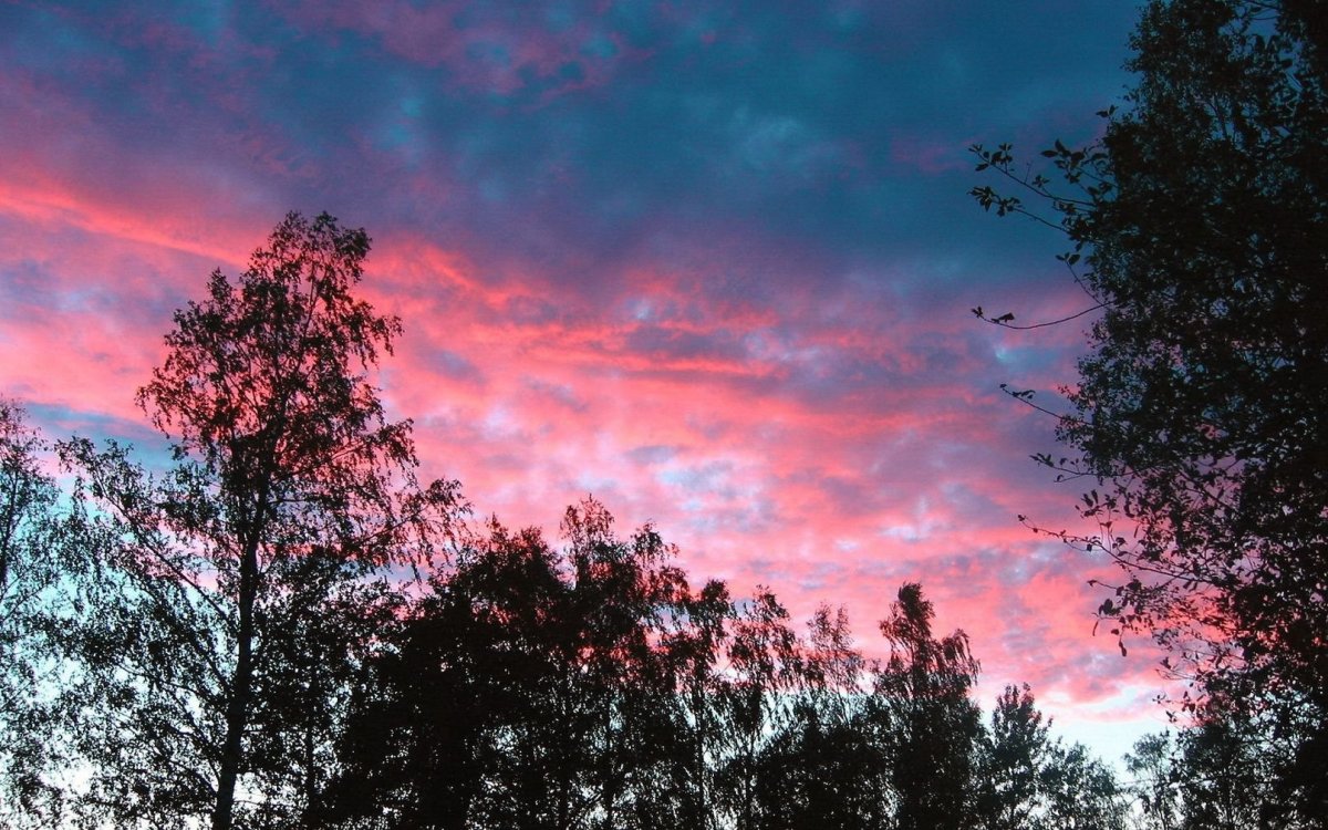 Розовое небо