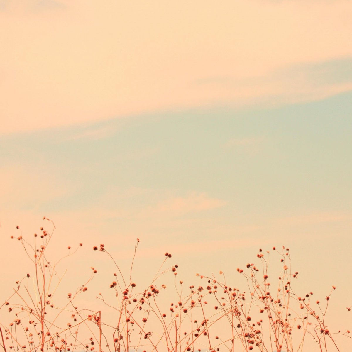 Красивый эстетичный фон