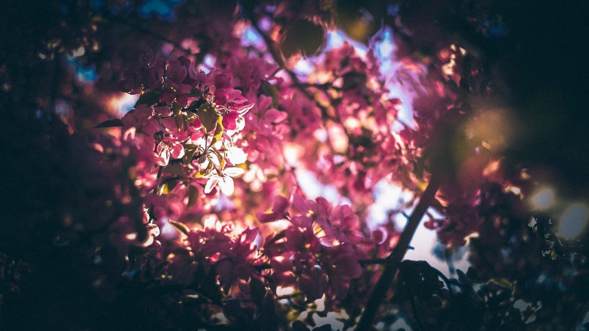 Красивые эстетические обои