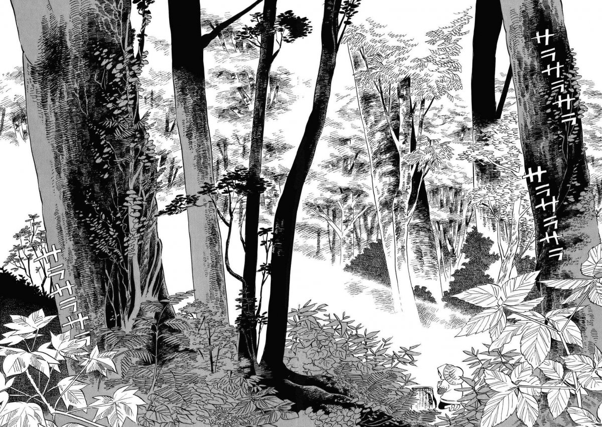 Скринтон лес