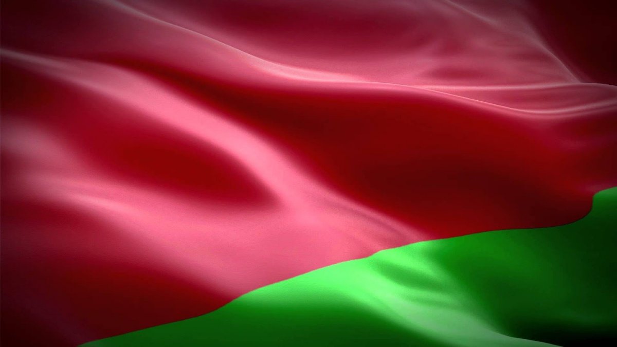 Флаг Беларуси обои