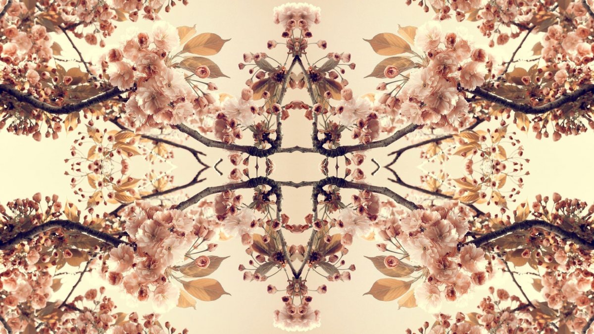 Фон в корейском стиле