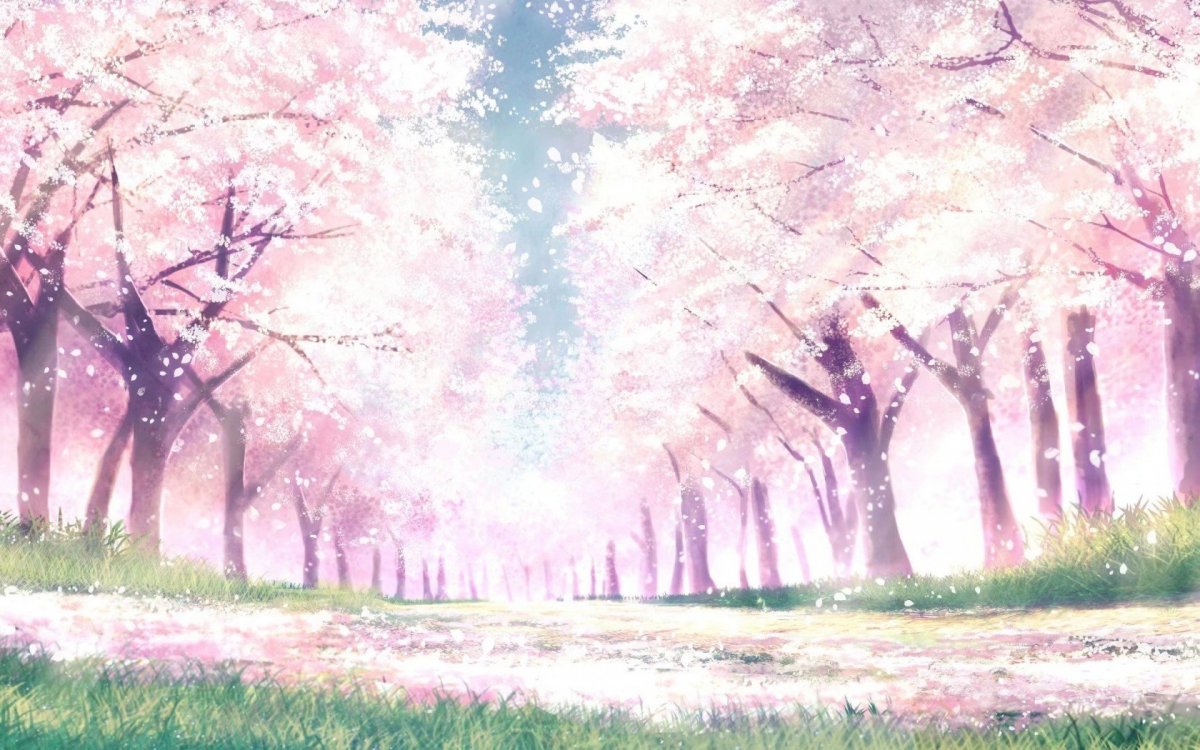 Гача Сакура Сакура