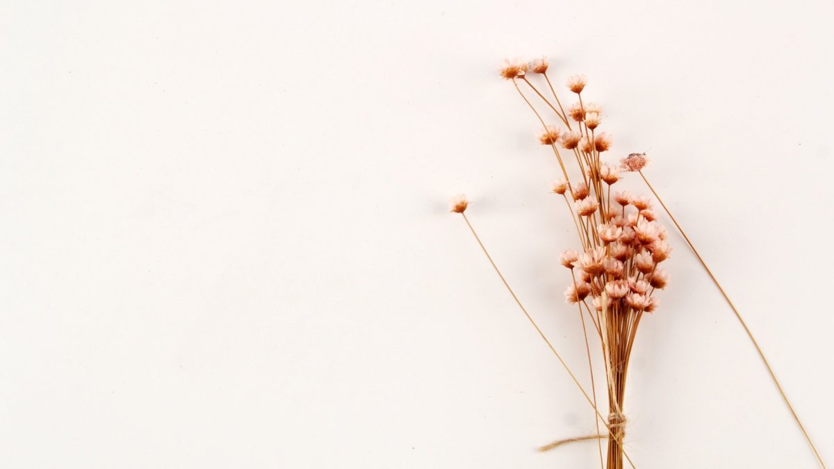 Сухоцветы Минимализм