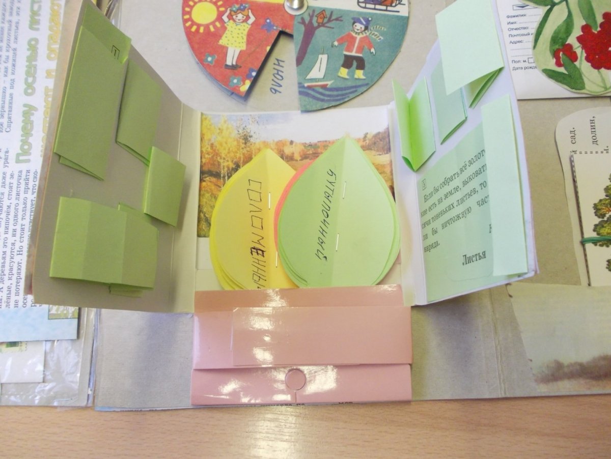 Фон для лэпбука