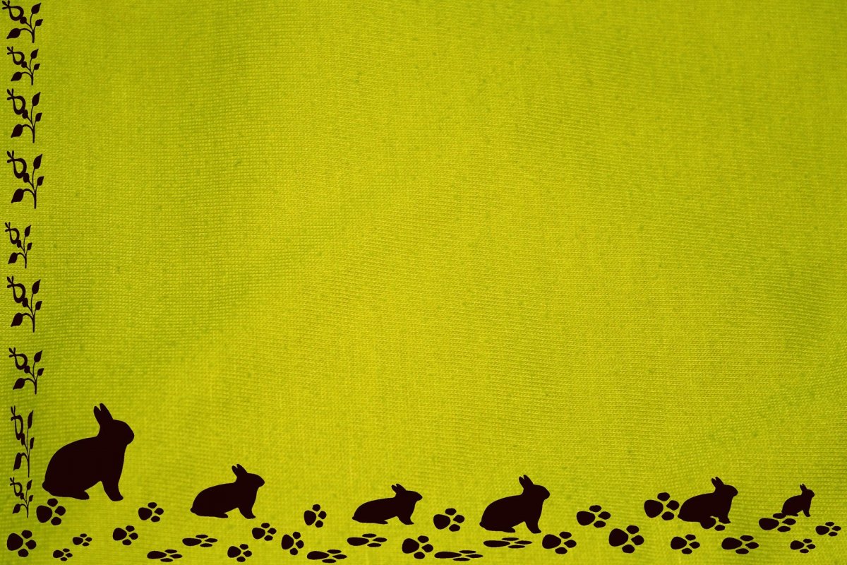 Фон для животных