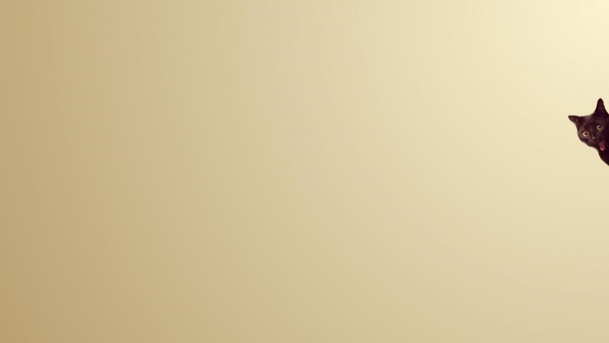 Фон Минимализм