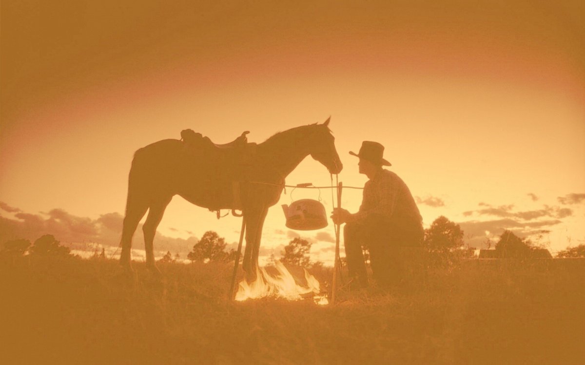 Ковбой на рассвете