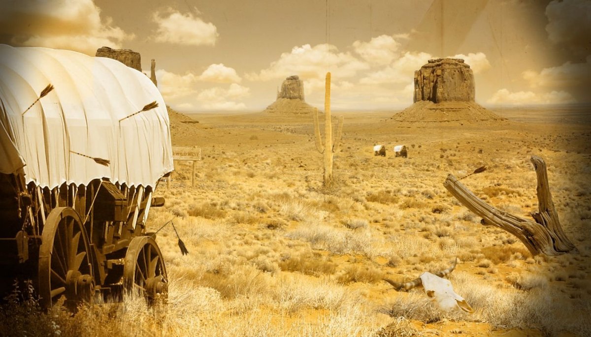 Ковбой в пустыне