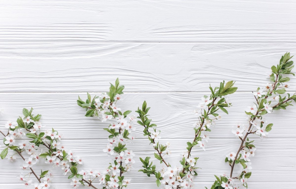 Фотофон с мелкими цветами