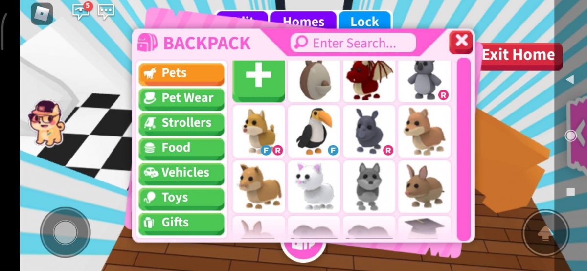 Петы в адопте