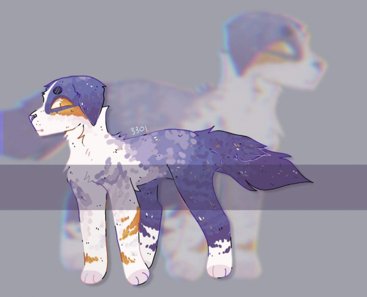 Аксель адопт ми