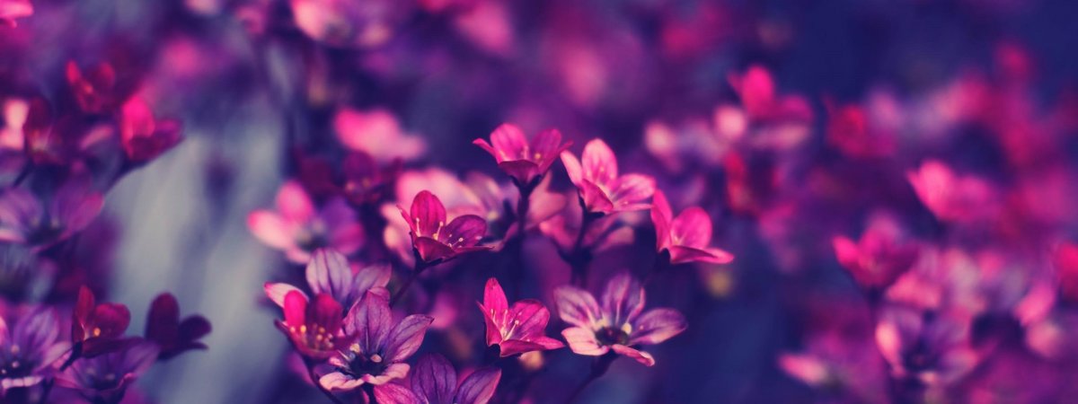 Красивый фон для шапки профиля