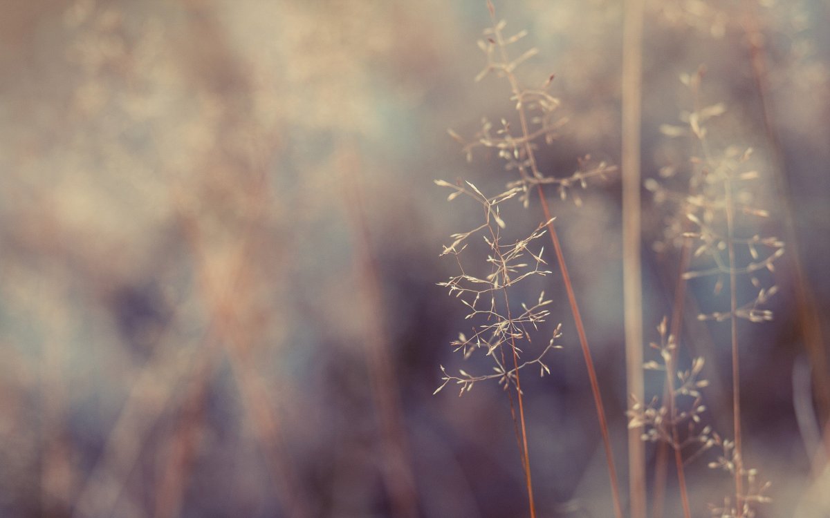 Эстетичный фон