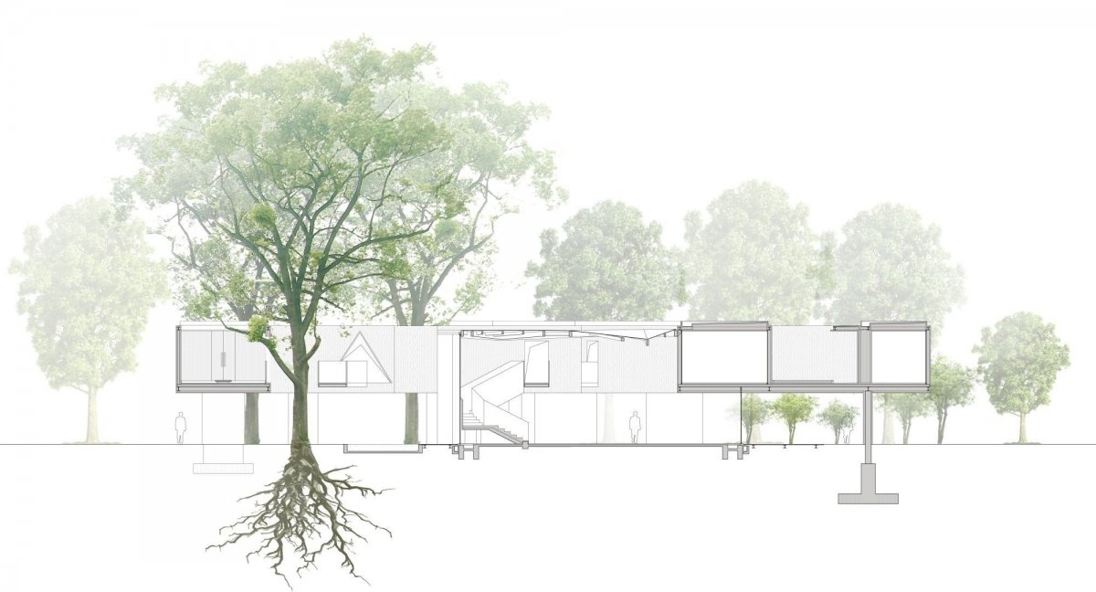 Деревья для архитектурной подачи