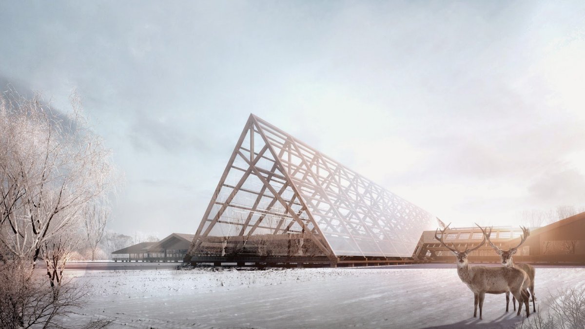 Архитектурная подача зимняя