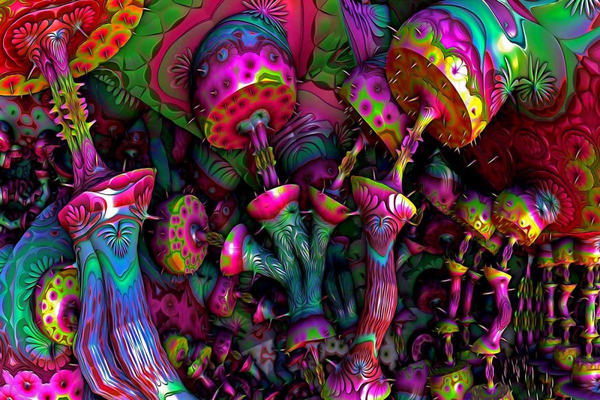 Дмт лсд псилоцибин