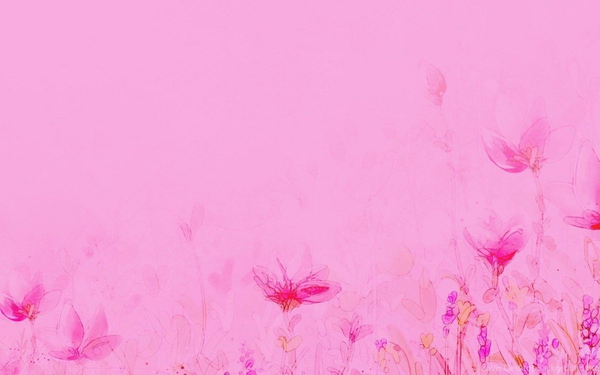 Цветочный фон для сторис