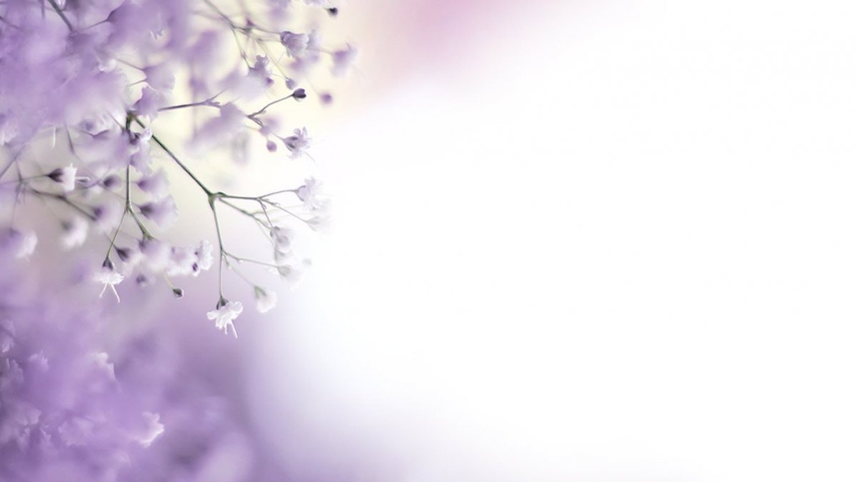 Красивый фон для текста