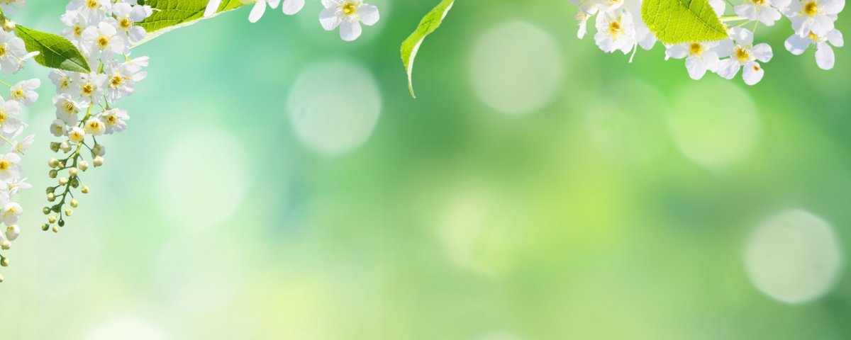 С праздником весны Навруз