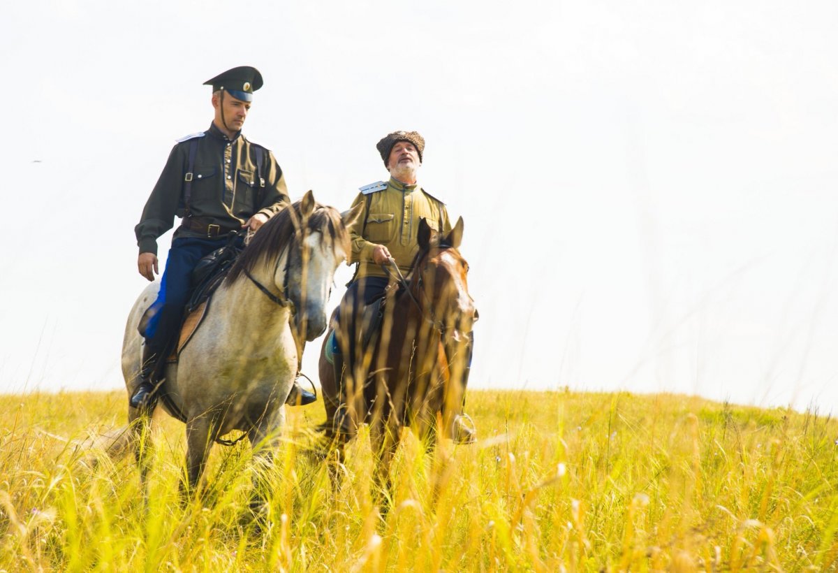 Донская степь казаки