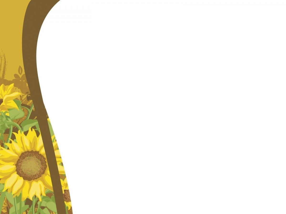 Фон для презентации Подсолнухи