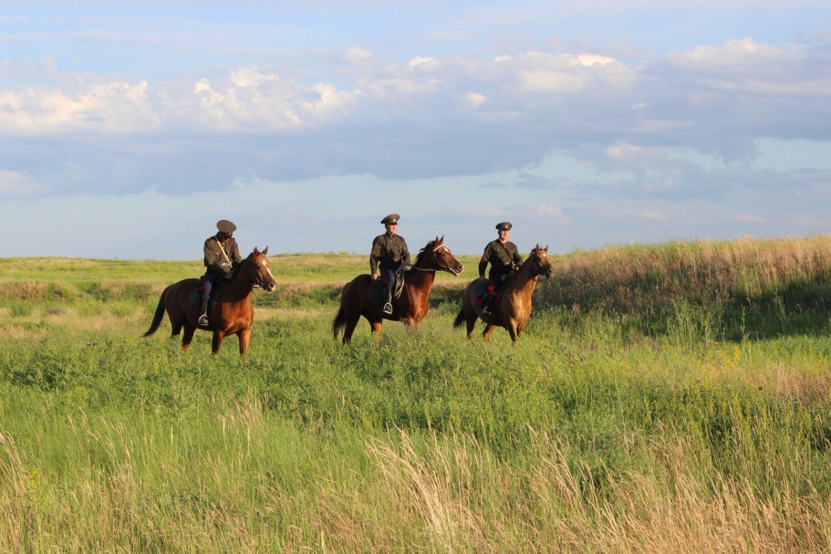 Донской казак в степи