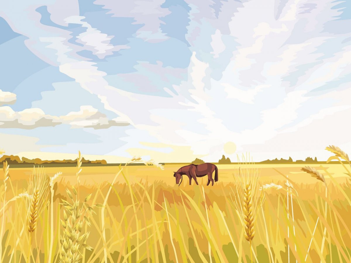 Поле рисунок