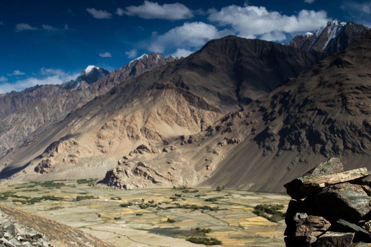 Афганистан Гиндукуш лес