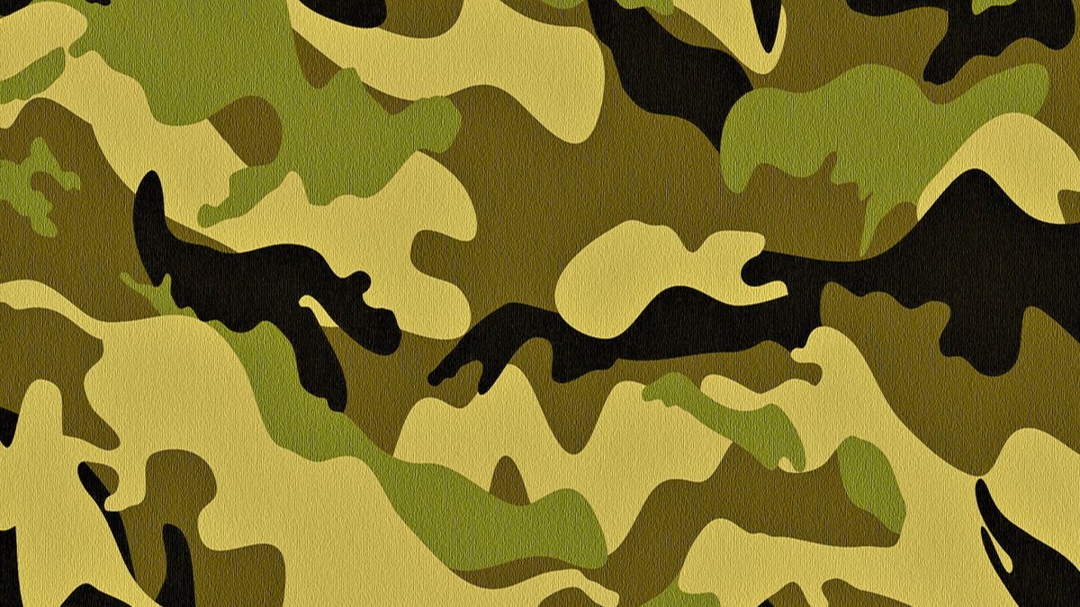 Камуфляжная расцветка