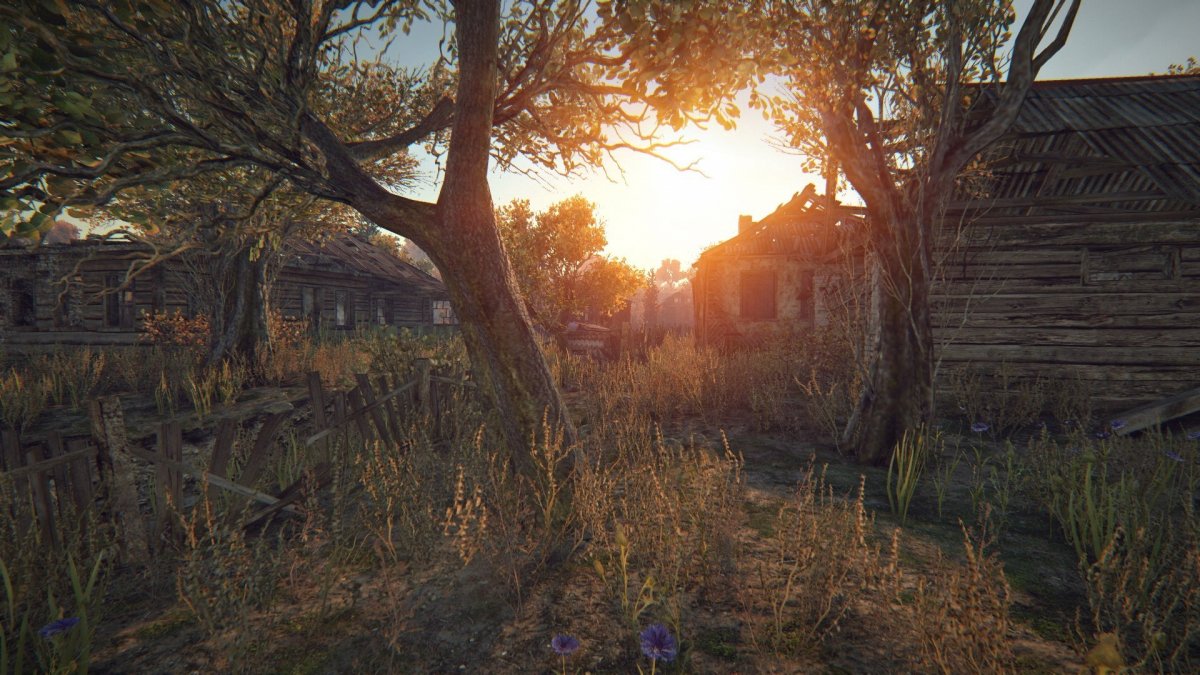 Лес сурвариум