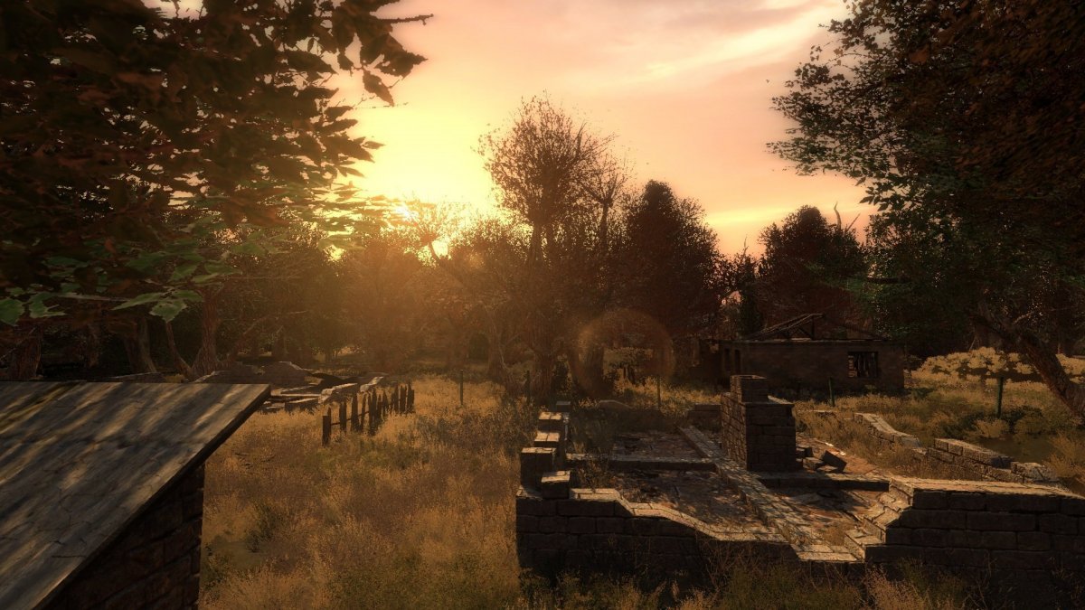 Фон сталкер лост Альфа