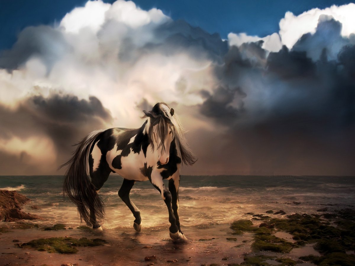 Лошадь на фоне неба