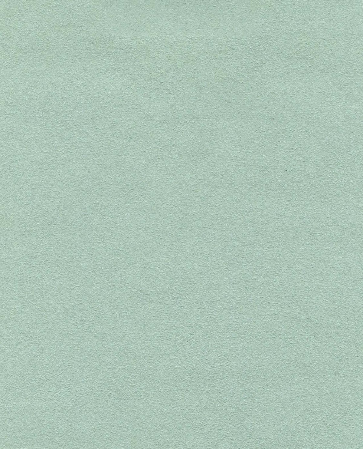 Однотонный фон для Zoom