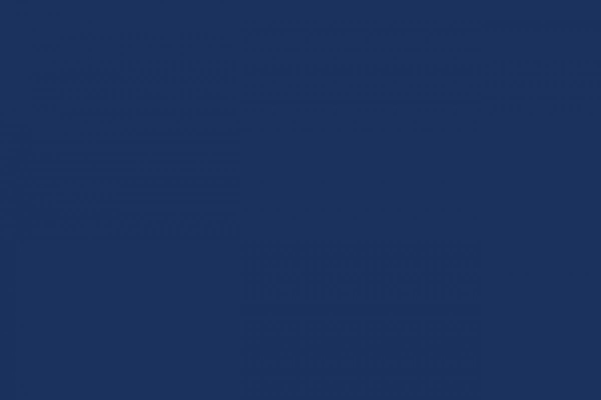 Сплошной фон для зум