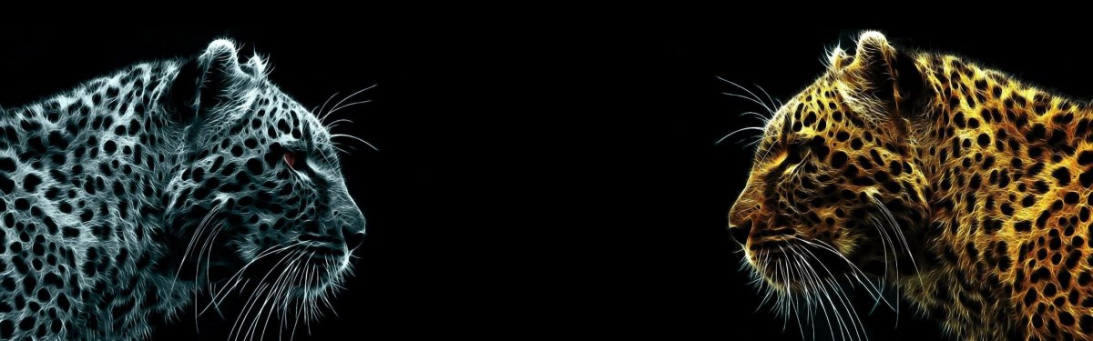 Заставка на два монитора