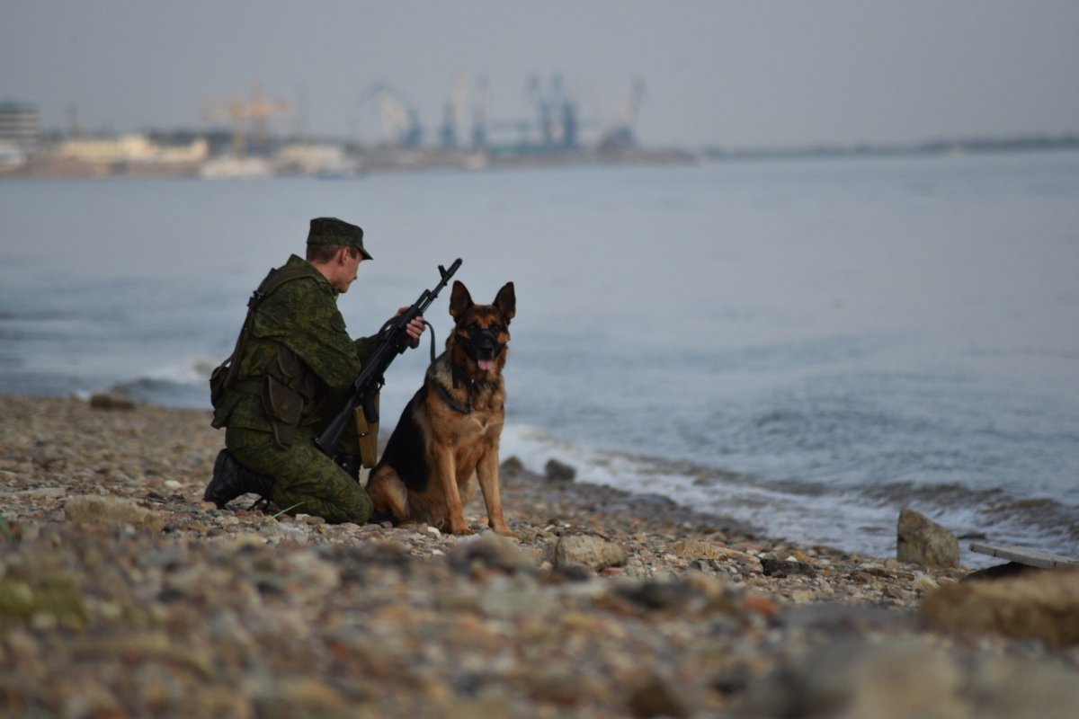 Пограничники городская застава Благовещенск