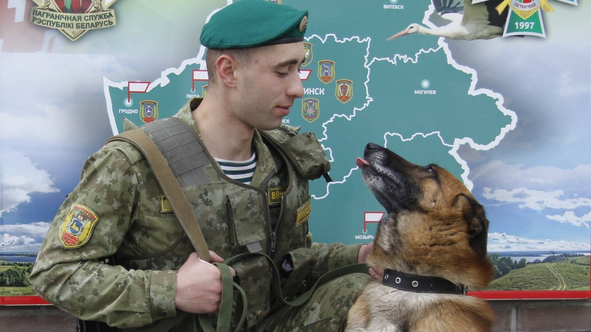 Пограничные войска